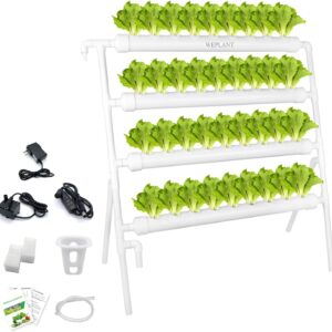 Système hydroponique NFT 36 trous - weplant