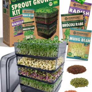Germoir bio 4 étages ZenGreens® - Kit complet inclus