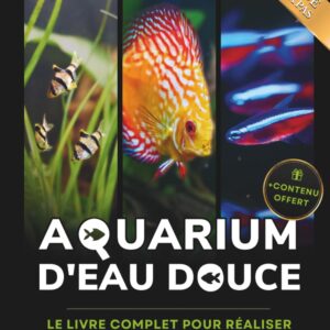 Aquarium d'eau douce : Guide complet pour tous niveaux