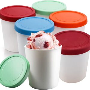 6 Récipients à glace 250ml - TOOSOAR