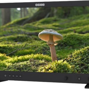 Osee Mega 22S - Moniteur Broadcast 22" Pro