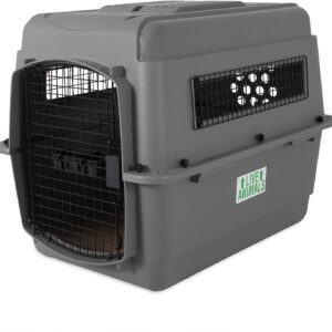 Caisse transport Beeztees Skykennel 3 pour chien 13,5-22,5 kg