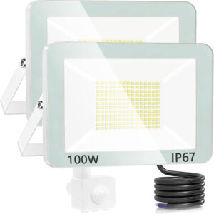 Projecteurs LED 100W Extérieur 2 Pièces, Détecteur de Mouvement IP67