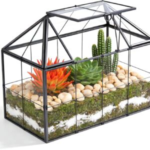 Mini serre rebord fenêtre en verre pour plantes