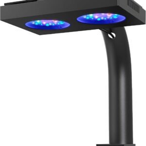 NICREW HyperReef 100 Gen 2 - Éclairage LED 100W pour coraux SPS/LPS