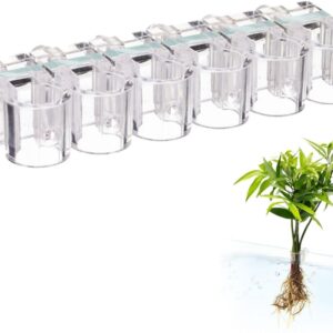 Lot de 6 supports plantes aquarium acrylique