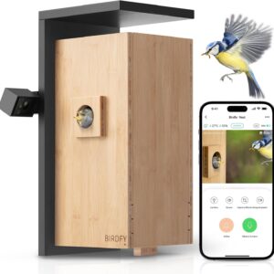 Netvue Birdfy : Nichoir + 2 caméras connectées IA