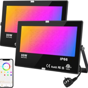 Projecteur LED Couleur DUSKTEC 80W RGB Bluetooth IP66 (Lot de 2)