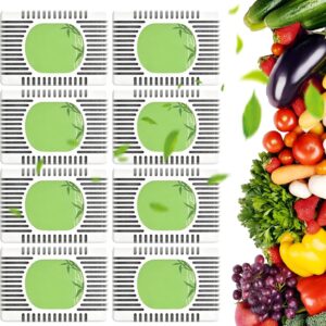 Lot de 8 désodorisants frigo réutilisables