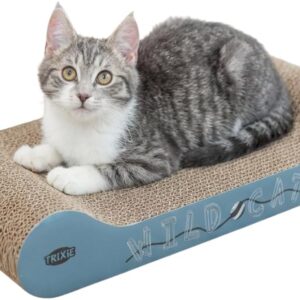 Griffoir Trixie Wild Cat avec herbe à chat - 41x24 cm