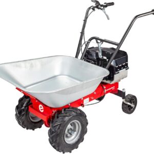 Brouette motorisée Briggs & Stratton 100 kg - Eurosystems