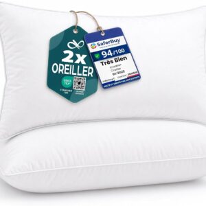 Flowen Oreiller 40x60 Lot de 2 - Antiallergique & Lavable