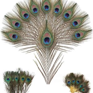 Plumes de paon naturelles - 10 pièces pour créations DIY